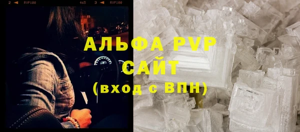гидра Аркадак