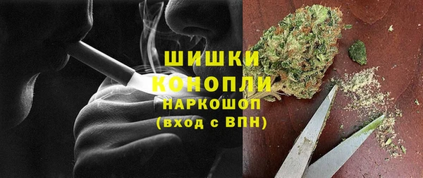гидра Аркадак